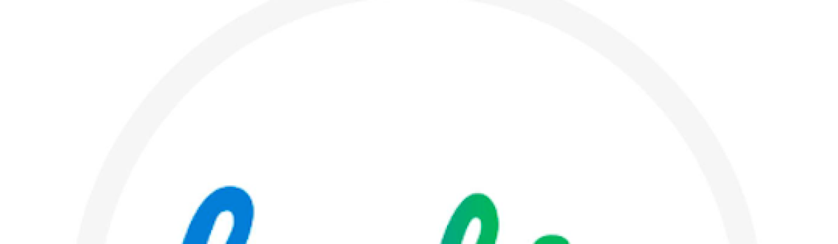 Festie iOS App